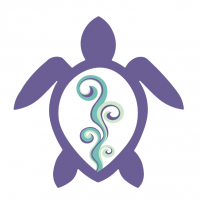 Inspired turtle